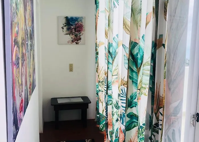 度假居 House In *